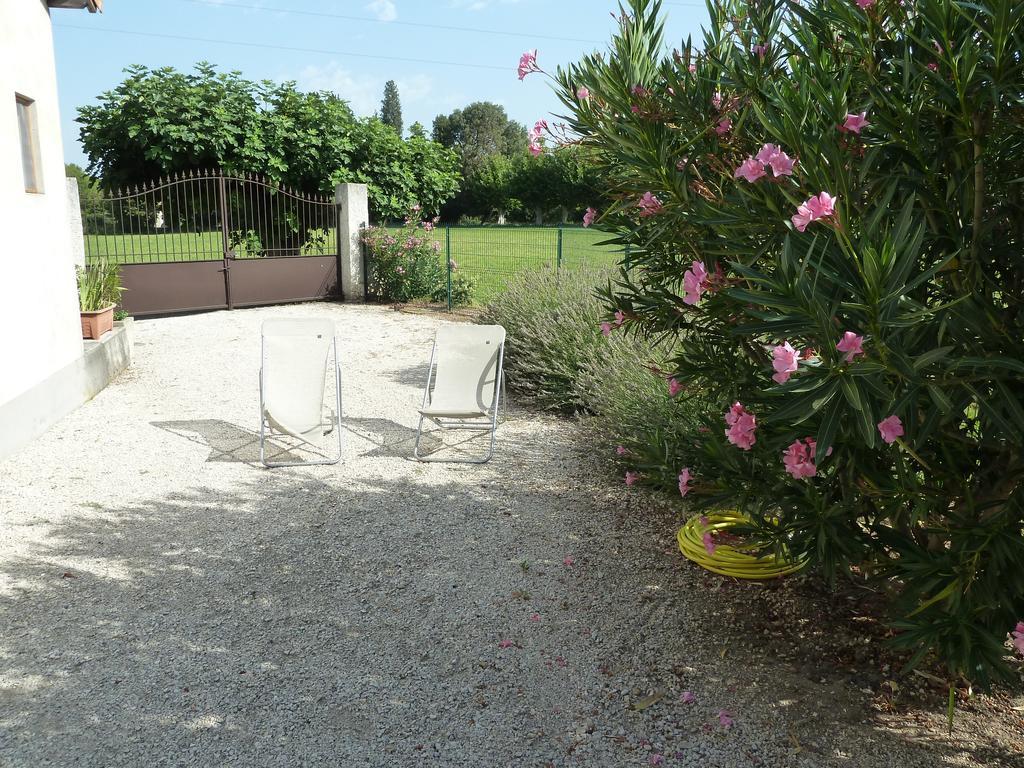 Le Mas De La Verdiere Avignon Buitenkant foto